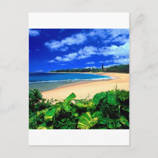 Beach Haena Kauai Hawaii Postkarte (Vorderseite)