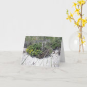 Beach Heather Note Card Karte (Gelbe Blume)