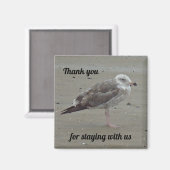 Beach House Rental Unique Seagull Guest Vielen Dan Magnet (Vorderseite/Rückseite)