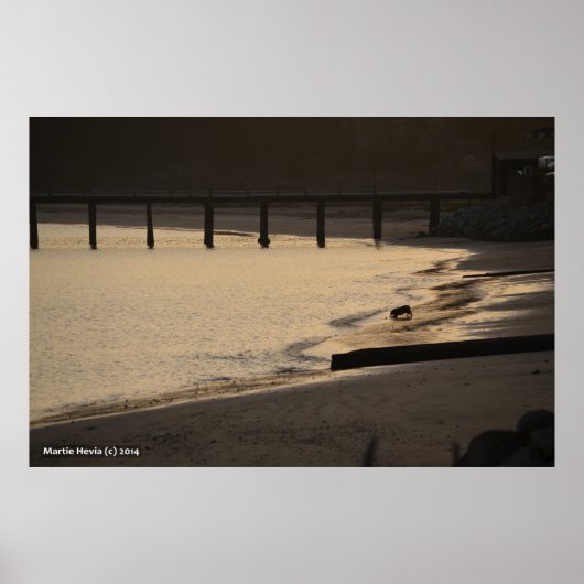 Beach Hund bei Sunset Poster (Vorne)
