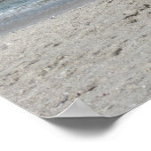 Beach Ibis Poster (Ecke)