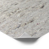 Beach Ibis Poster (Ecke)