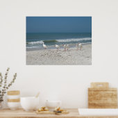Beach Ibis Poster (Küche)