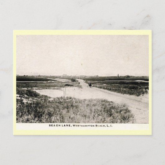 Beach Lane, Westhampton, New York Vintag Postkarte (Vorderseite)