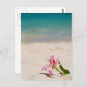 Beach Lily Postkarte (Vorne/Hinten)