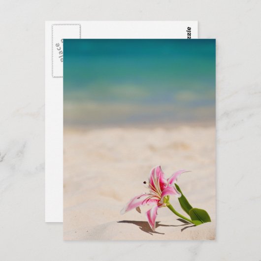 Beach Lily Postkarte (Vorne/Hinten)