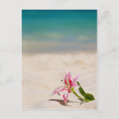 Beach Lily Postkarte (Vorderseite)