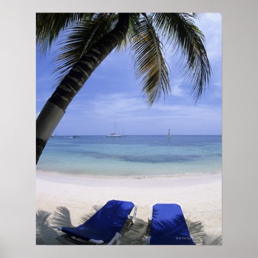 Beach, Lounge Chair, Palm tree, Horizon Over Poster (Vorne)