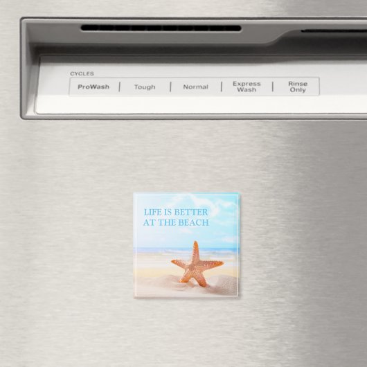 Beach Magnet (In Situ (Geschirrspüler))