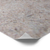 Beach Morning Glory (Ipomoea Stolonifera) Poster (Ecke)