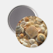Beach Muscheln Magnet (Vorderseite/Rückseite)