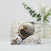 Beach Muscheln Postkarte (Stehend Vorderseite)