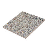 Beach Muscheln Sea Muschel Hintergrund Ocean Textu Fliese (Seite)