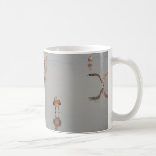 Beach Nature Foto Florida Birds Ozean Foto Niedlic Kaffeetasse (Rechts)