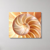 Beach Nautilus Muschel Art Canvas Print Leinwanddruck (Vorderseite)
