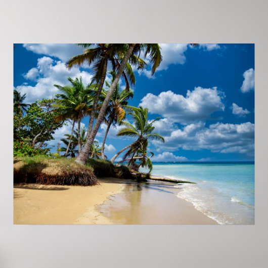 Beach Ocean Foto 168 Poster (Vorne)