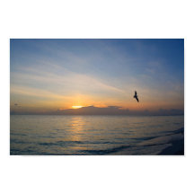 Beach Ocean Sunset Foto 195