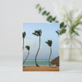 Beach Palm Postkarte (Stehend Vorderseite)