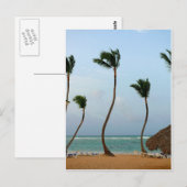 Beach Palm Postkarte (Vorne/Hinten)