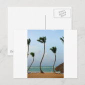Beach Palm Postkarte (Vorne/Hinten)