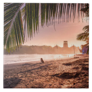 Beach Palm Tree Calm Sunset Fliese