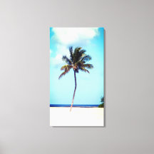 Beach Palm Tree