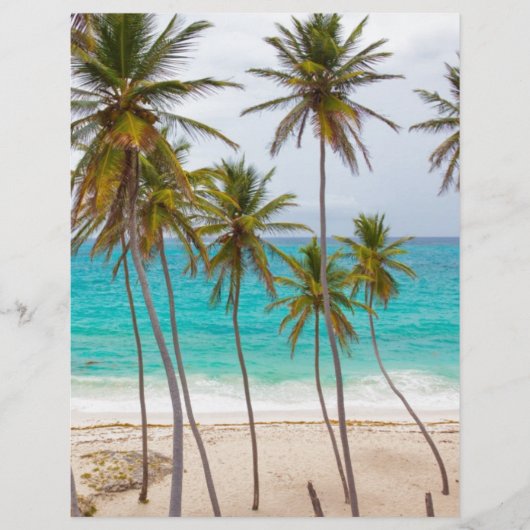 Beach Palms (Vorderseite)