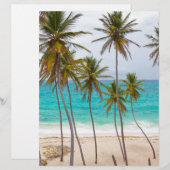 Beach Palms (Vorne/Hinten)