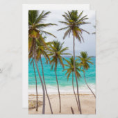 Beach Palms Briefpapier (Vorne/Hinten)