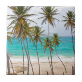 Beach Palms Fliese (Vorderseite)