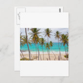 Beach Palms Postkarte (Vorne/Hinten)