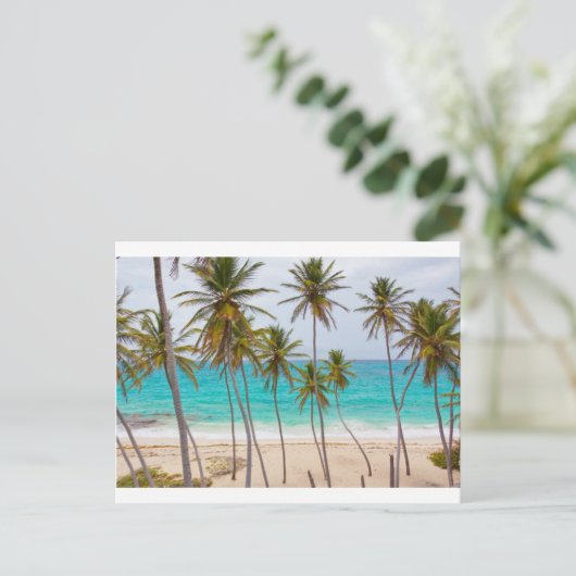 Beach Palms Postkarte (Stehend Vorderseite)