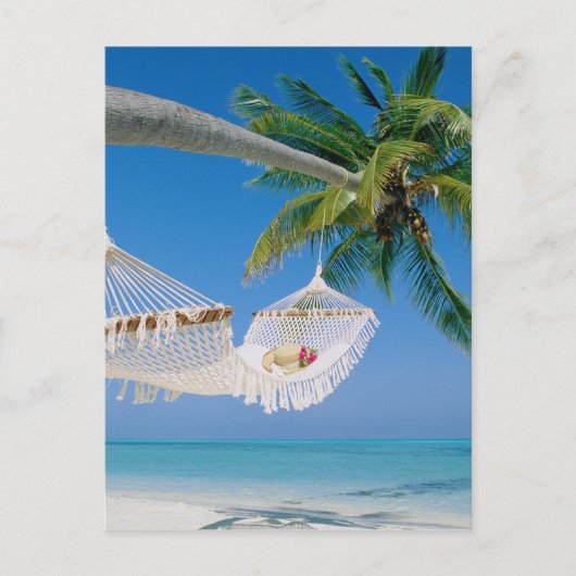 Beach Paradise Urlaub Hammock Postkarte (Vorderseite)
