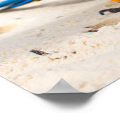 Beach Parrot Poster (Ecke)