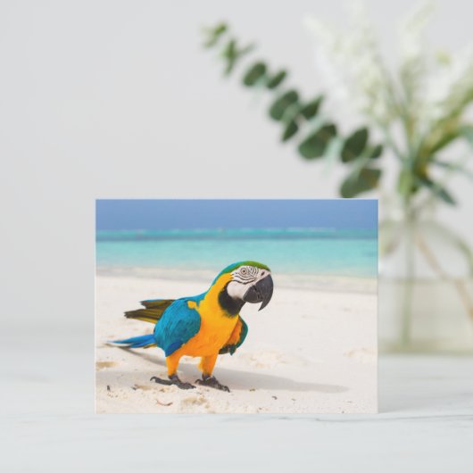 Beach Parrot Postkarte (Stehend Vorderseite)