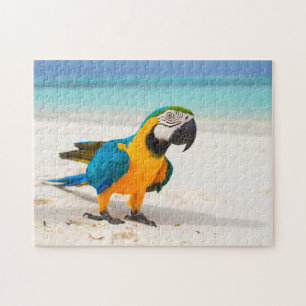 Beach Parrot Puzzle