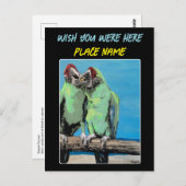 "Beach Parrots" Gemälde auf einem Postkarte (Vorne/Hinten)