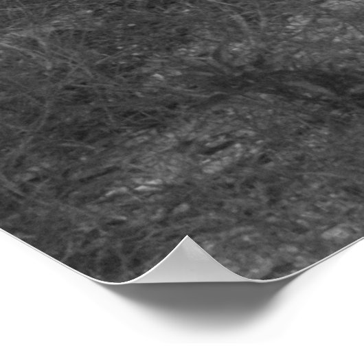 Beach Path Poster (Ecke)