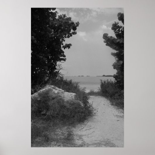 Beach Path Poster (Vorne)