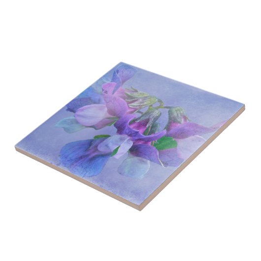 Beach Pea Blume Fliese (Seite)