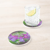 Beach Pea - Lathyrus japonicus - Wildblume Getränkeuntersetzer (Seite)