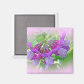 Beach Pea - Lathyrus japonicus - Wildblume Magnet (Vorderseite/Rückseite)