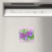 Beach Pea - Lathyrus japonicus - Wildblume Magnet (In Situ (Geschirrspüler))