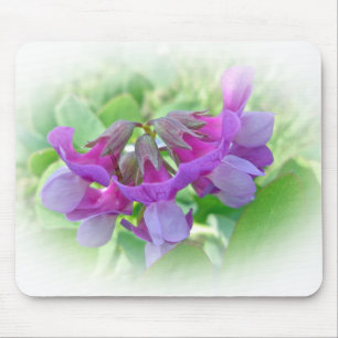 Beach Pea - Lathyrus japonicus - Wildblume Mousepad