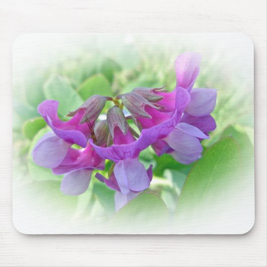 Beach Pea - Lathyrus japonicus - Wildblume Mousepad (Vorne)