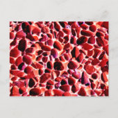 BEACH PEBBBLES POSTKARTE (Vorderseite)