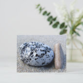 Beach Pebbles Postkarte (Stehend Vorderseite)