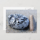 Beach Pebbles Postkarte (Vorne/Hinten)