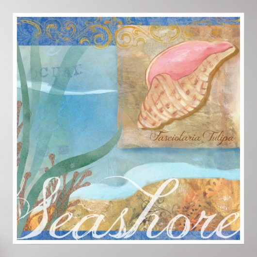 Beach Poster IV, "Seashore mit Tulip Muschel" (Vorne)