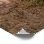 Beach Poster: Love Poster (Ecke)